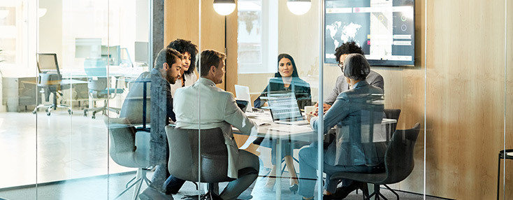 Procurement Strategy Advisory
